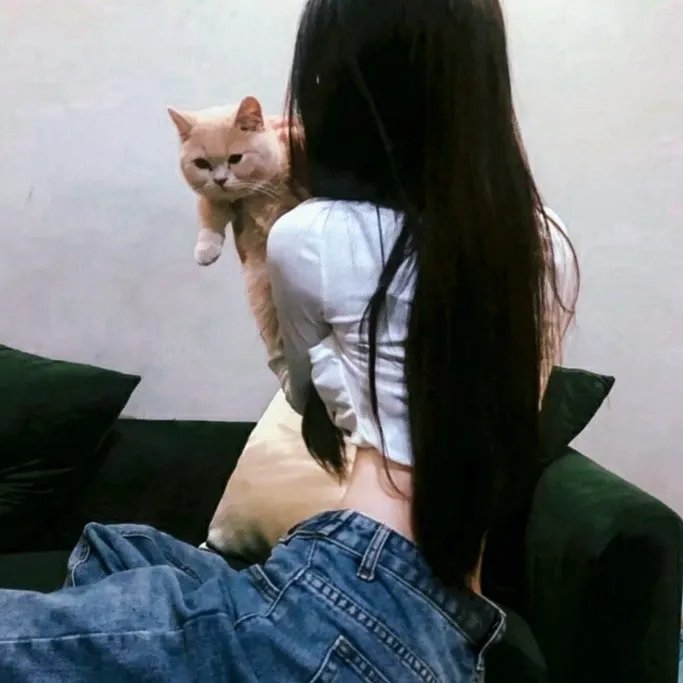 唐老鸭的青春之泉 在线观看